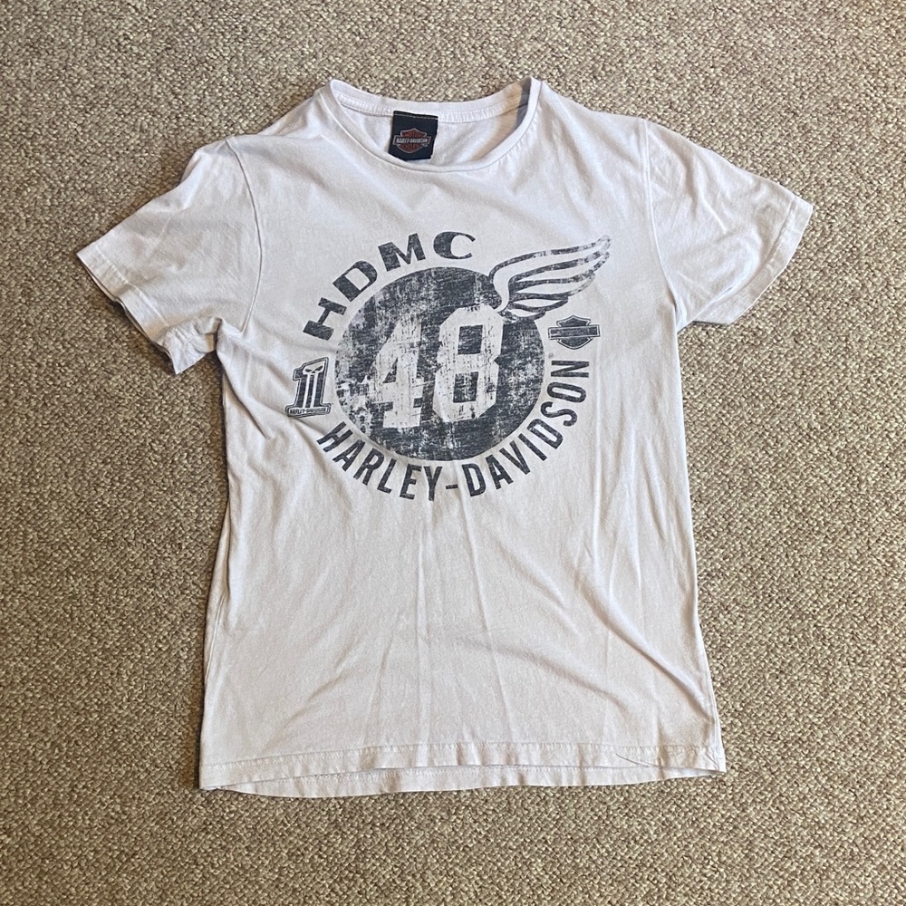 Harley-Davidson Gray Graphic Tee for Men